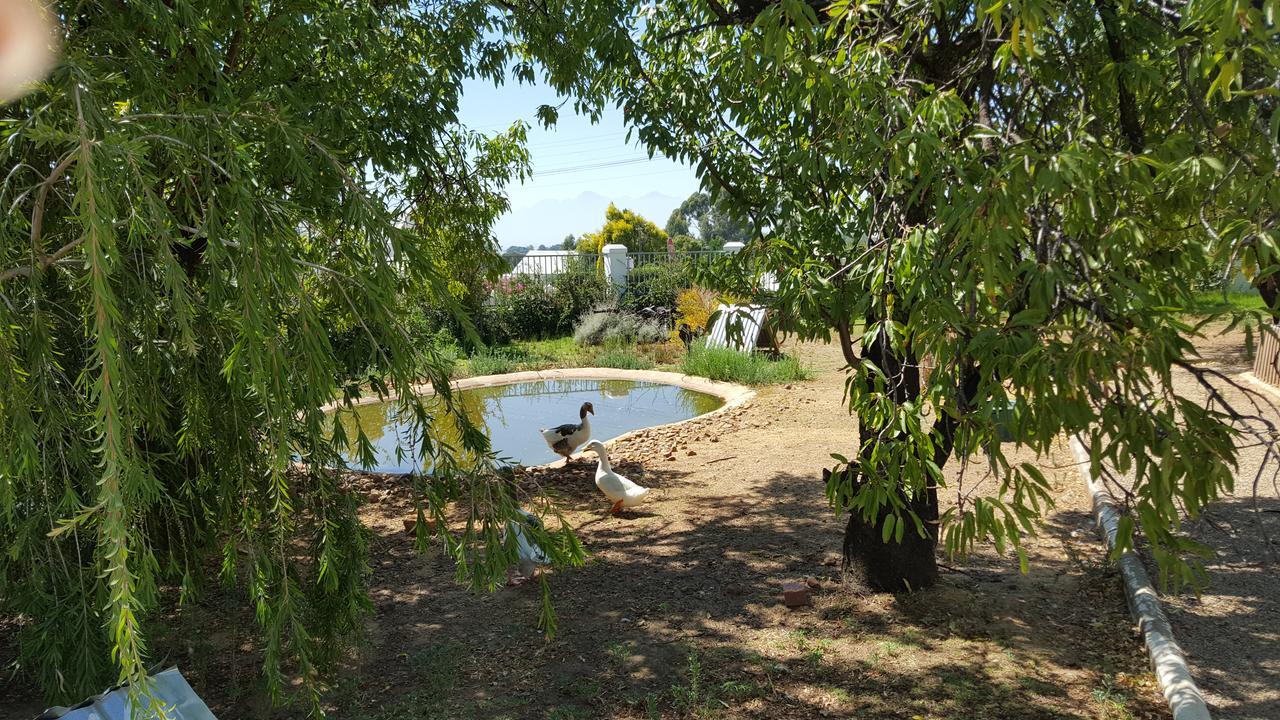 Merindol Manor Riebeek-West Exteriér fotografie